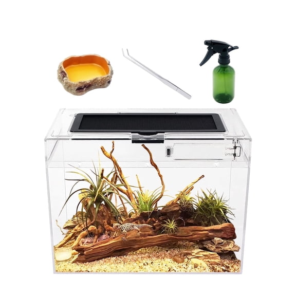 Mini Reptile PC Terrarium Starter Kit Habitat Cage,12x7x9 inch Amphibian Tank ,for Insect,Fish,Tarantula,Turtles,Jumping Spiders and Small Reptiles