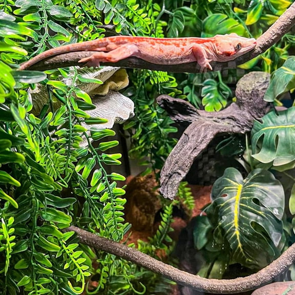 Reptile Plants, Terrarium Hanging Vines Artificial Leaves Habitat Decorations with Suction Cup