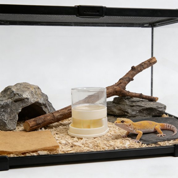 Reptile Water Bowl Dispenser 1.7 Fl Oz, , Automatic Pet Water Feeder for Chameleon-gecko and Small Climbing Pets, Compact Terrarium Drinking Accessory for Daily Hydration White