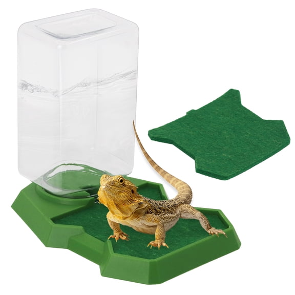 Reptile Water Dish Food Dish with Bottle, Prevent Drowning Water Dispenser, Water Feeder Automatic Water Feeding Accessories for Terrarium Tank, Turtle, Geckos, Lizards, Amphibians (Green)