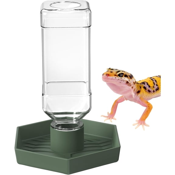 Reptile Water Dispenser-Bearded Dragon Water Bowl - Small Water Dish for Tortoise - Bowls for Reptiles & Amphibians (S)