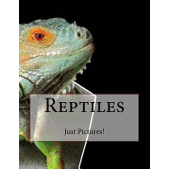 Reptiles