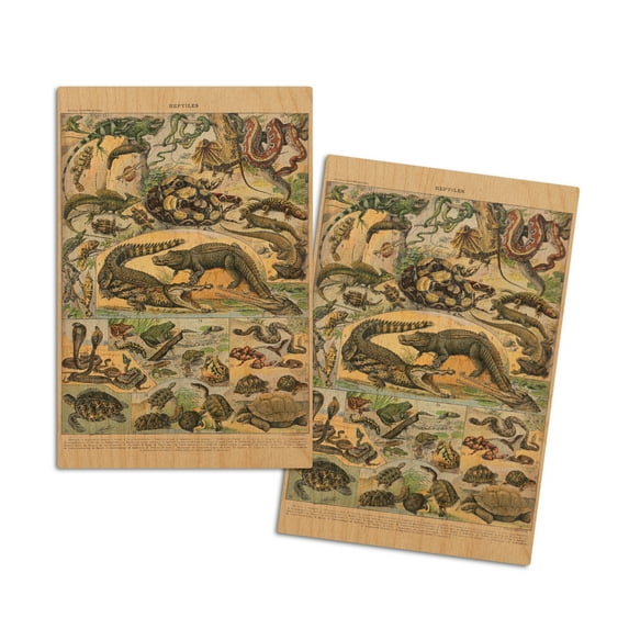 Reptiles, A, Vintage Bookplate, Adolphe Millot Artwork (4x6 Birch Wood Postcards, 2-Pack Stationary, Rustic Home Wall Decor)