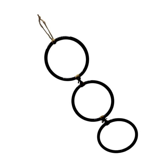 Reptiles Activity Tool Safe Plastic Climbing Rings Training Equipment for Small Snakes Exercise and Exploration Toy