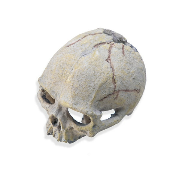 Reptiles Aquarium Decors Resin Skull Head Fishtanks Terrariums Hideouts Accessories for Bearded Dragon and Snake