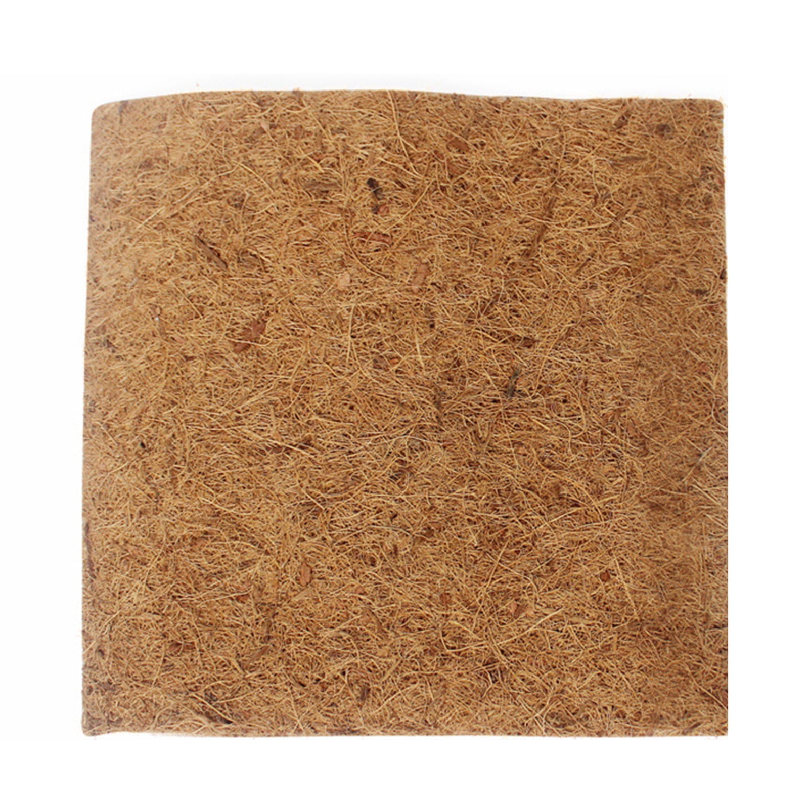 Reptiles Carpet BeardedDragon Substrate CoconutFiber Bedding Mat for BeardedDragon Sleep Pad Terrariums Liner Accessory