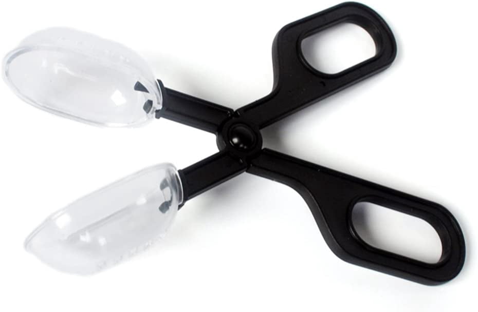 Photo inspiration: Gallery Detail: Reptiles Feeding Scooper Poop Cleaning Clamp Spoon Shaped Tips Feeder
