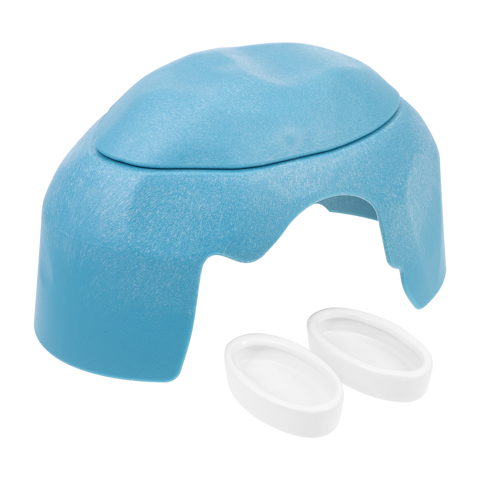 Reptiles Hide from Caves Snake Gecko Hideaway Hideout Animal Lizard