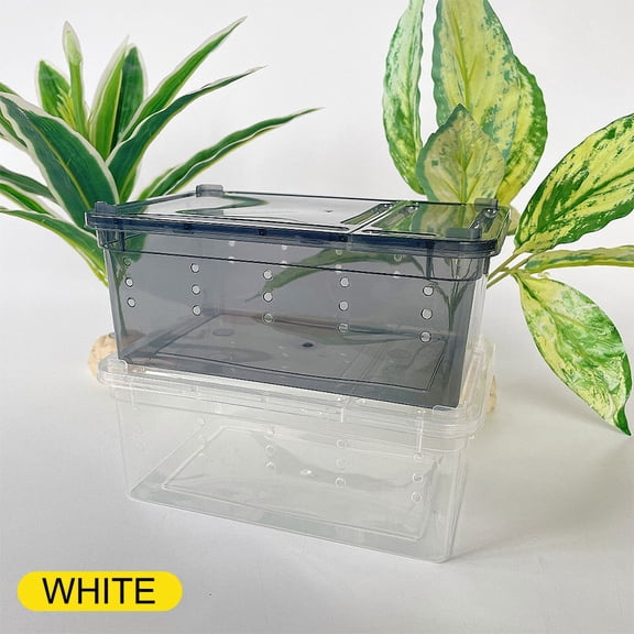 Reptiles Spider Transparent Plastic Feeding Box Insect Food Feeding Container