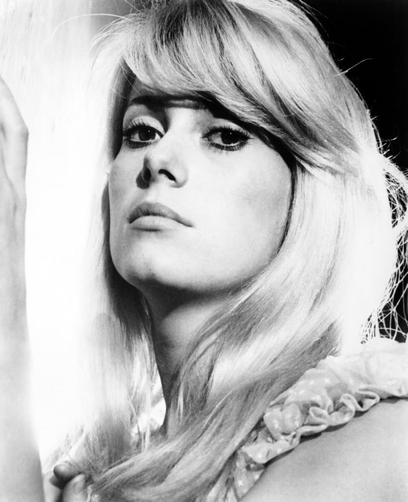 Repulsion Canvas Art - (16 x 20)