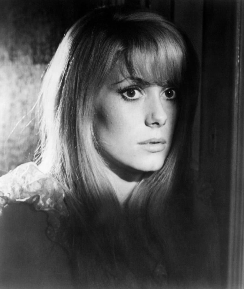 Repulsion Canvas Art - (16 x 20)