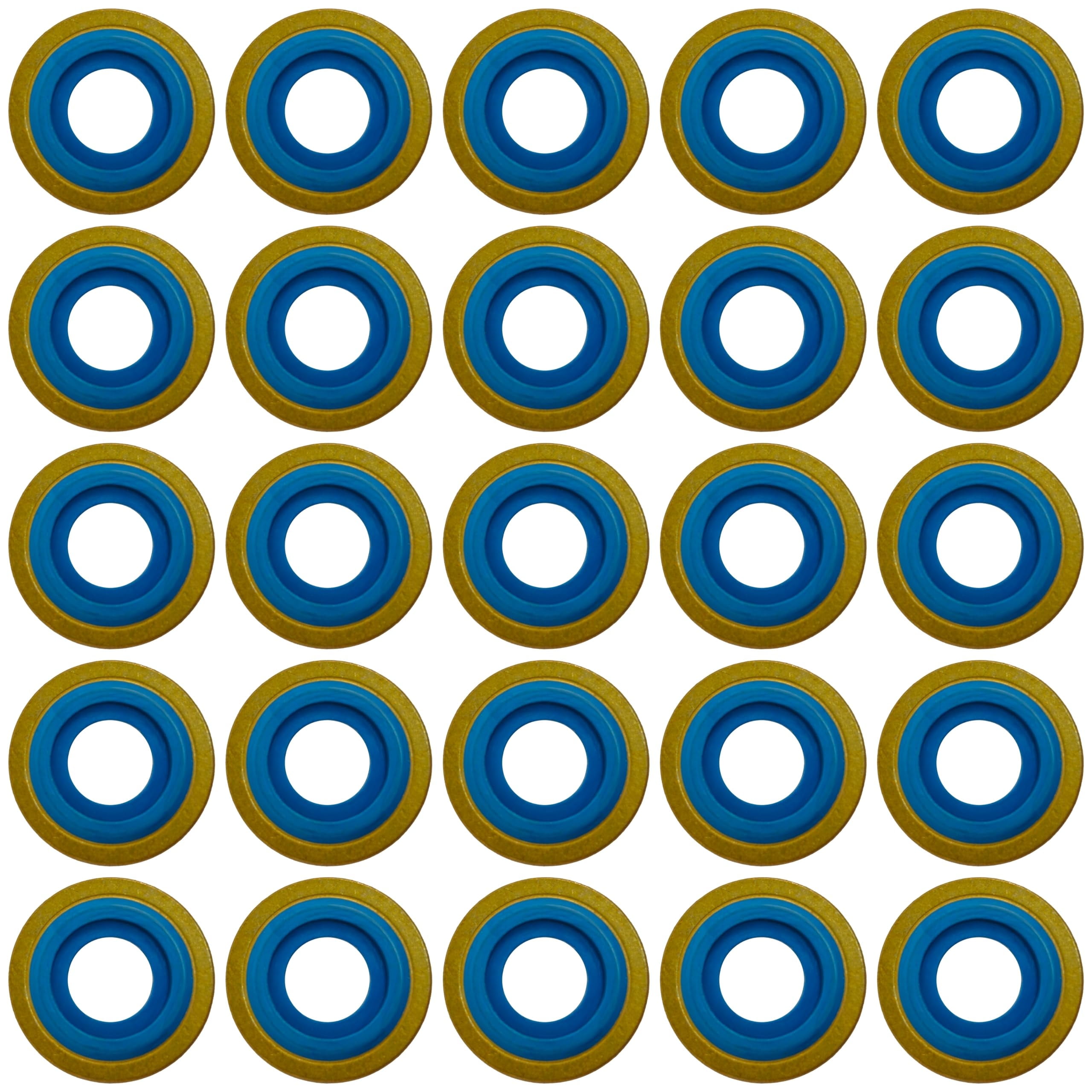 ResOne Premium Blue Viton Oxygen Regulator Yoke Washer Seals 25-Pack