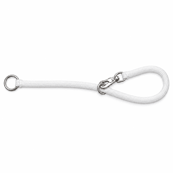 Resco Braided Nylon Snap Choke Dog Training Collar, 16 in, White