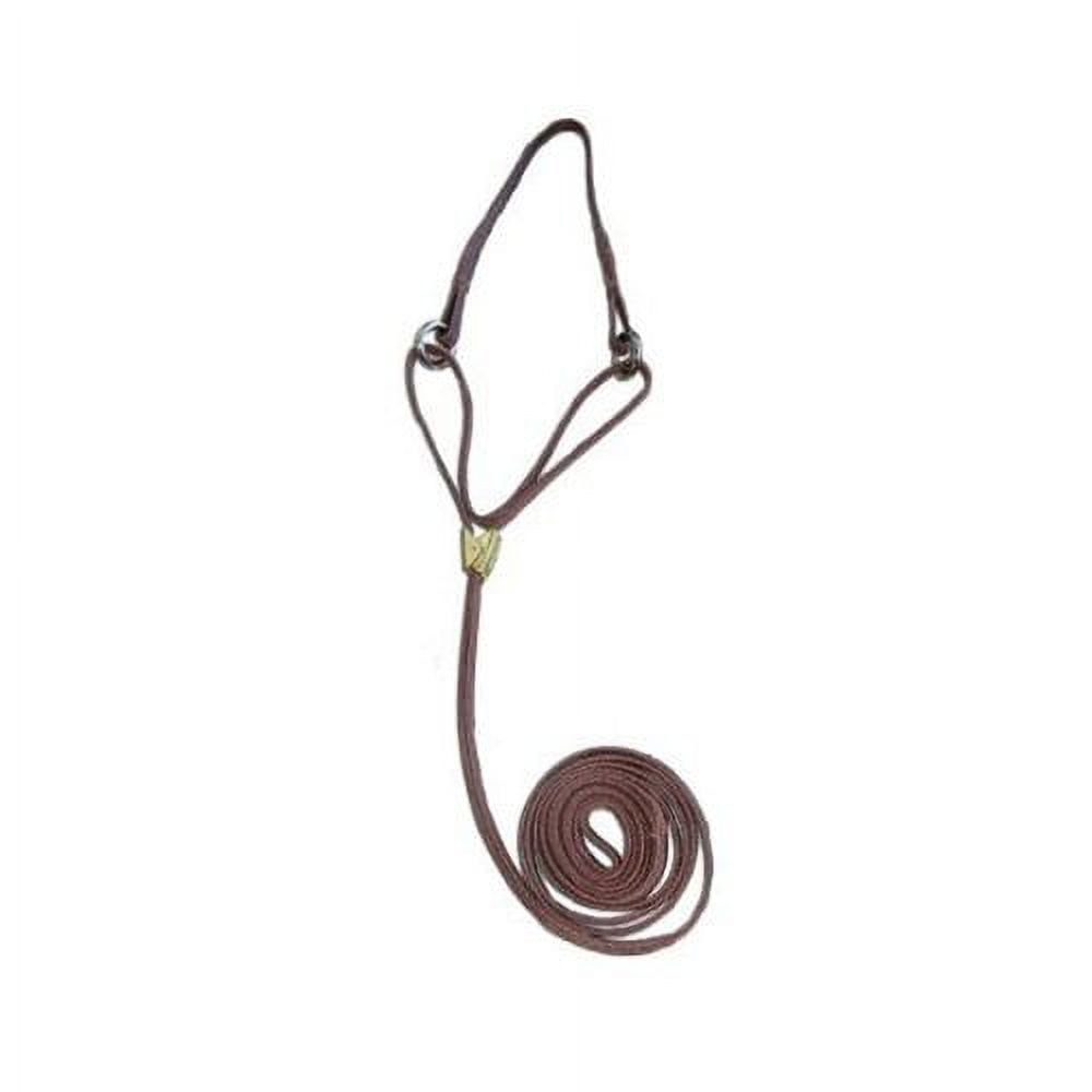 Resco Cordo-Hyde Martingale Leads 42" Cotton Martingale Dog Leash, Beige