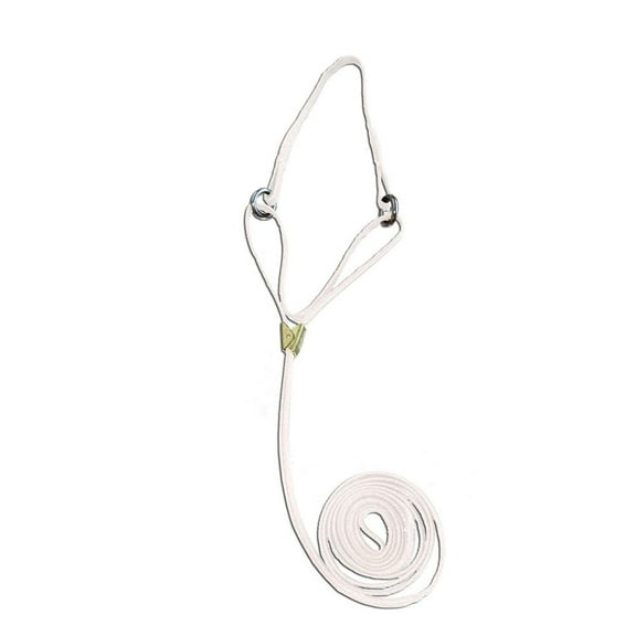 Resco Martingale Show Lead, 3/16 x 42-Inch Long, 6" Choke, White