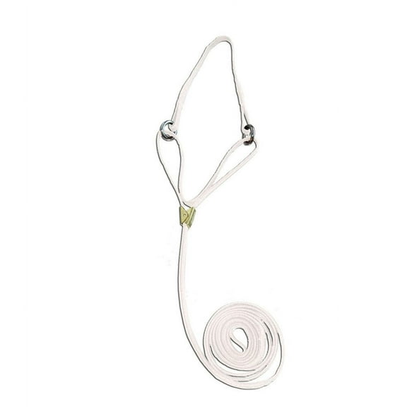 Resco Martingale Show Lead, 3/8 x 42-Inch Long, 14" Choke, Black