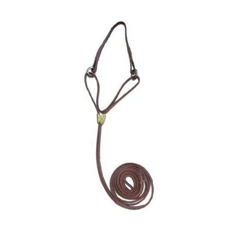 Resco Cordo-Hyde Martingale Leads 42" Cotton Martingale Dog Leash, Beige