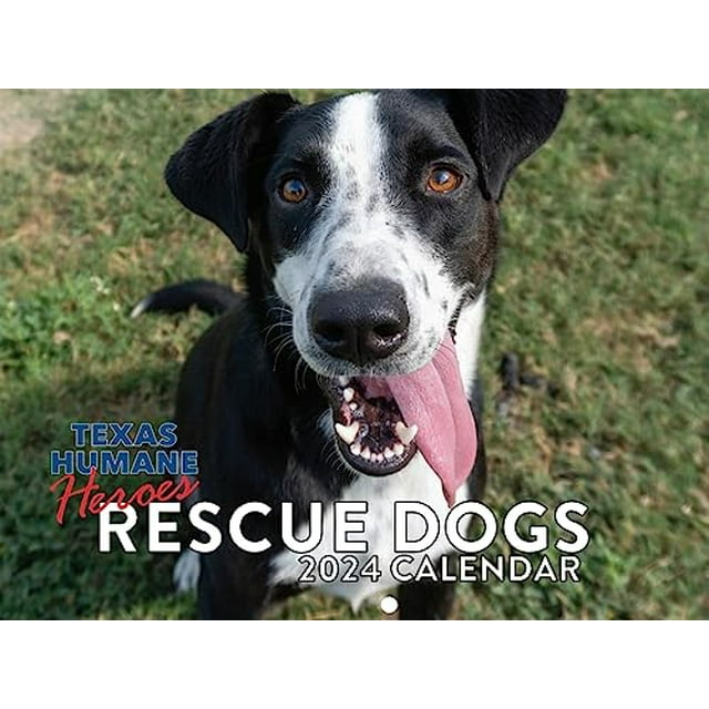 Rescue Dog Calendar 2024 Wall Calander
