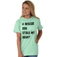 thumbnail image 1 of Rescue Dog Stole Heart Pet Adoption Women's Plus Size Graphic Tee Brisco Brands 3X, 1 of 4