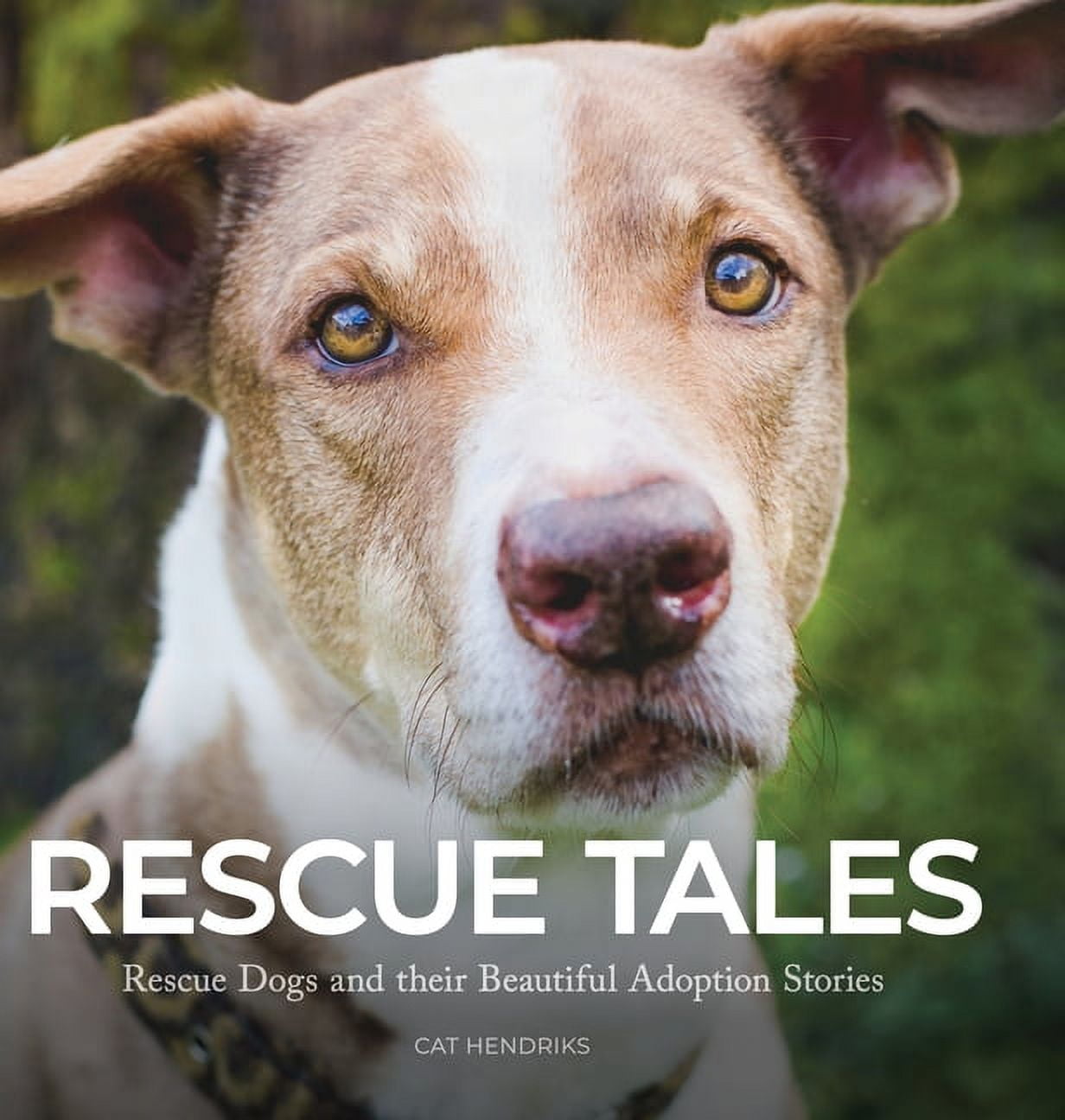 Rescue Tales: Rescue Tales: Rescue Dogs and their Beautiful