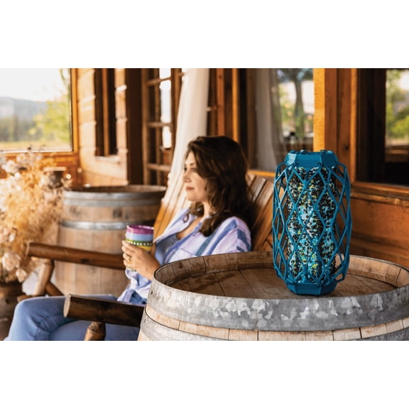 Rescue TrapStik Deck & Patio Fly Trap - Single Pack  Residential Use, Standard Application
