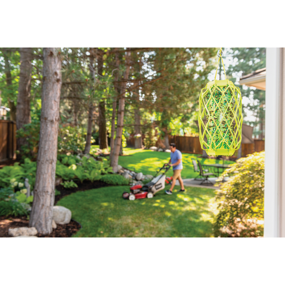 Rescue TrapStik Wasp Trap - Single Pack  Residential Use, Standard Application