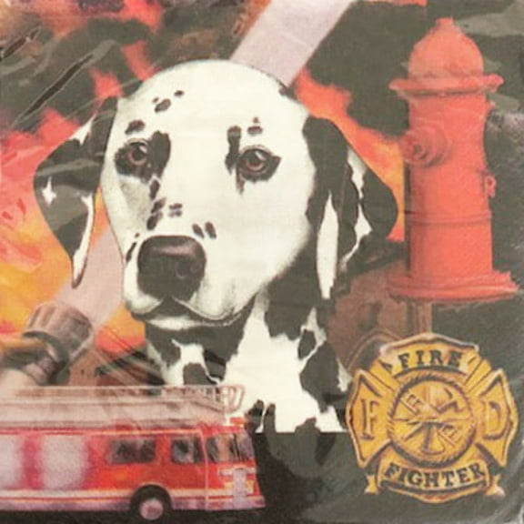 Rescue Vehicles 'Heroes in Action' Lunch Napkins (16ct)