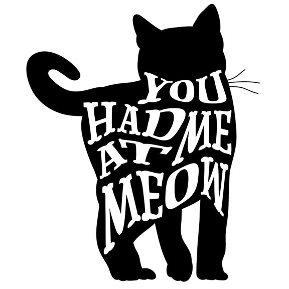 RescueCat 010 Poster Print - LightBoxJournal (24 x 24)
