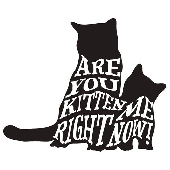 RescueCat 011 Poster Print - LightBoxJournal (24 x 24)