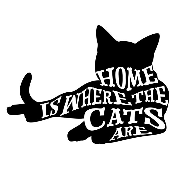 RescueCat 06 Poster Print - LightBoxJournal (24 x 24)