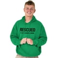 thumbnail image 1 of Rescued Favorite Breed Animal Lover Unisex Plus Fleece Graphic Hoodie Brisco Brands 2X, 1 of 4