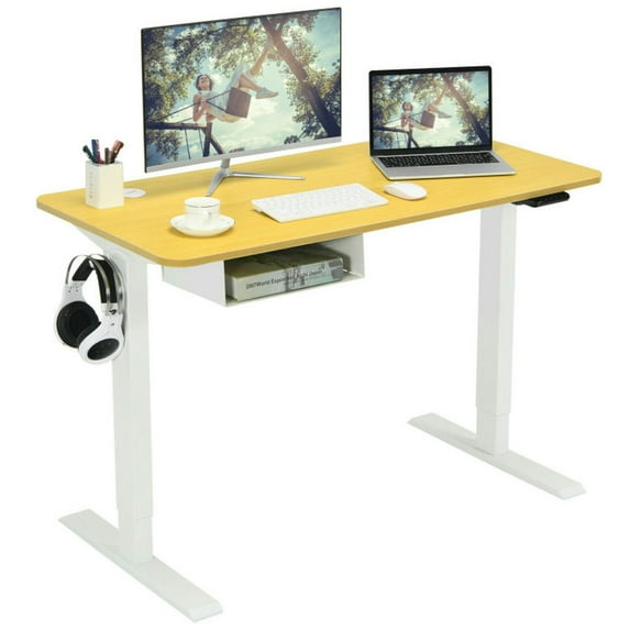 Resenkos 48-Inch Electric Standing Adjustable Desk with Control Panel and USB Port-Natural, Home Office Desks, Gaming Computer Desks for Study,Working,Writing