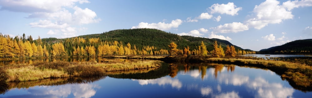 Reserve Faunique Des Laurentides Quebec Canvas Art - Ron Watts  Design Pics (36 x 12)