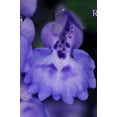 thumbnail image 1 of Reshape: Poems and Artwork of Soul (Hardcover), 1 of 1