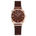 thumbnail image 1 of Resicozy Elegant Womens Quartz Watch, Round Dial Stainless Steel Mesh Watch Casual Simple Fashion Womens Watches Gift Brown, 1 of 1