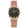 thumbnail image 1 of Resicozy Elegant Womens Quartz Watch, Round Dial Stainless Steel Mesh Watch Casual Simple Fashion Womens Watches Gift Rose Gold, 1 of 1