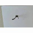 thumbnail image 1 of Residential Essentials 10605AP Vertical Double Robe Coat Hook- Aged Pewter, 1 of 5