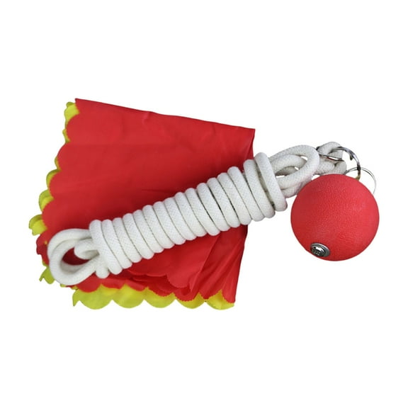 Resiliency Meteors Hammer Ball Rope Darted Meteors Hammer Rubber Throw Weight for Martial Art Training And Fitness