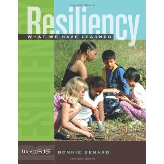 Pre-Owned Resiliency: What We Have Learned