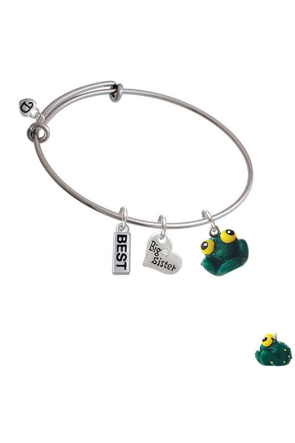 Resin Big Eyed Frog Charm on Best Big Sister Heart Expandable Bangle Bracelet