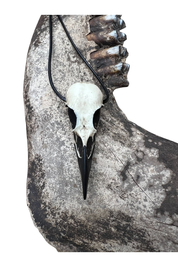 Resin Bone Raven Skull Necklace Gothic Jewelry, Bird Skull Jewelry, Goth Oddities Curiosities, Witchy, Viking Pendant Dark Cosplay Gift
