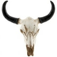 thumbnail image 1 of Resin Cow Skull Head Wall Hanging Decor 3D Animal Wildlife Sculpture Figurines Crafts Horns for Home Halloween Decor, 1 of 4