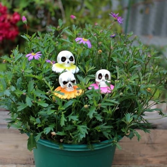 Resin Daisy Flower Skull Head Statue - Stakes Set of 3, Skull Garden - Accessories, Decorative - Picks, Indoor Outdoor Halloween Planter Pot Decorations Bonsai Crafts