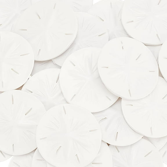 Resin Display Decorations Sand Dollar Shape White 38mm 30pcs/box