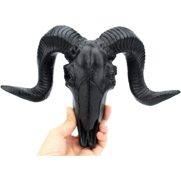 Resin Goat Skull Head Wall Hanging Decor Succulent Long Horns Wall Decoration 3D Animal Head Skull Sculpture Figurines Crafts Ornament Home Room Nordic Style Artwork Props (Black)