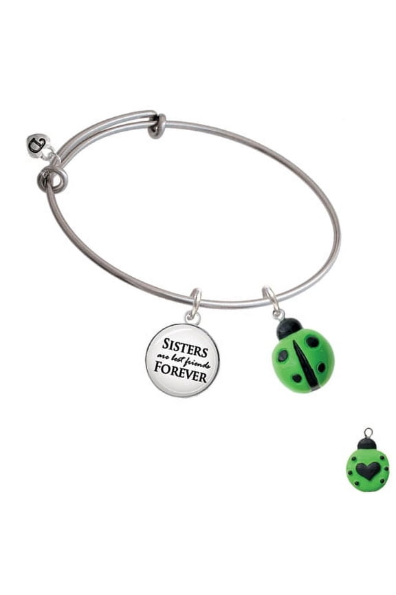 Resin Lime Green Ladybug Love Bug Sisters are Best Friends Bangle Bracelet