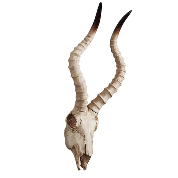 Resin Long Horned Decor Skull Halloween Decoration Wall Mount Wall Hanging Decor 3D Skull Sheep Head Wall Sculpture For Bedroom Wall C 56.5x21.5x13cm