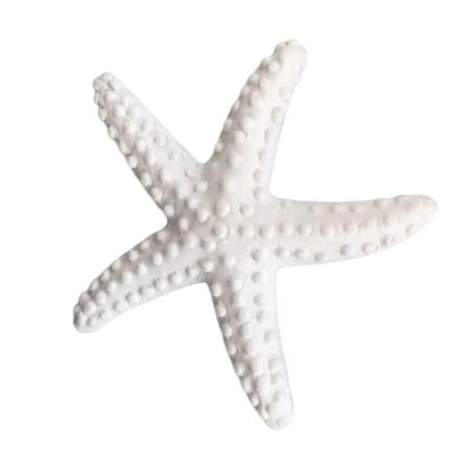 Starfish Decor - 3-4 Inch Star Fish (18) Pack - Starfish for Crafts - White  Starfish Wall Décor - Beach Wedding Starfish - Beach Starfish Décor - Star