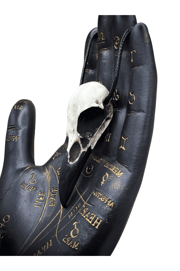 Resin Raven Skull Necklace Bone Jewelry, Bird Skull, Gothic Jewelry, Goth Gift, Oddities Curiosities, Witchy, Viking Pendant, 2.75" Size