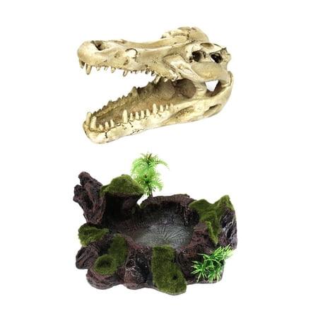 Resin Reptile Feeding Bowl & Reptile Cave, Skull Shaped Hiding Habitat Aquarium Terrarium Decoration for Small Lizards Turtles Amphibians